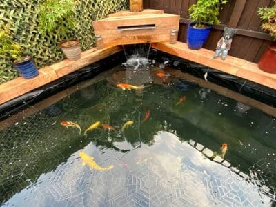 Butek Ponds