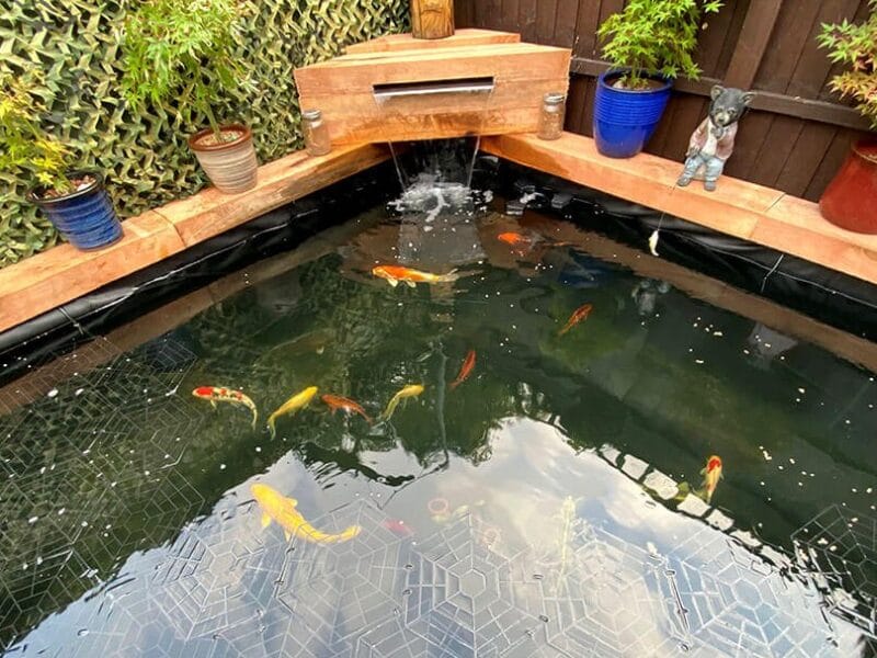 Butek Ponds
