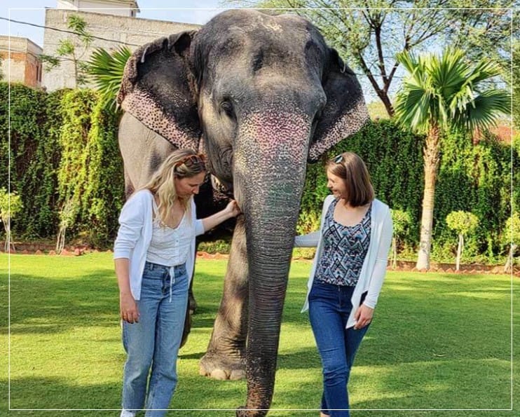 EleJungle Elephant Ride & Activities