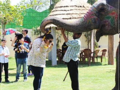 EleJungle Elephant Ride & Activities
