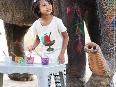 EleJungle Elephant Ride & Activities