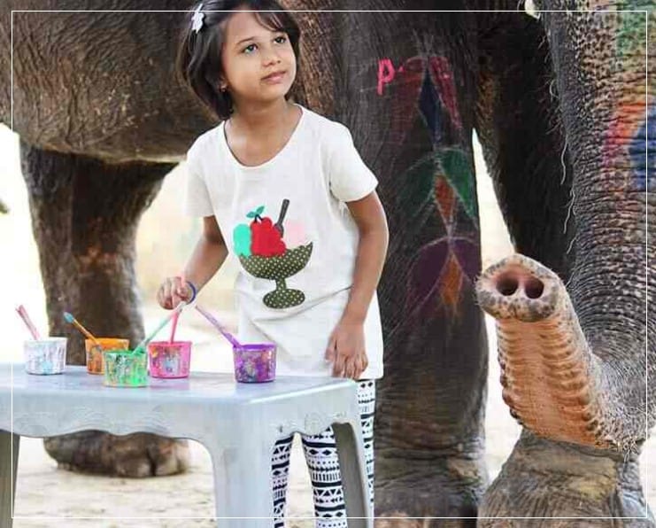 EleJungle Elephant Ride & Activities