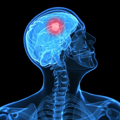 Chennai Neuroscience Foundation