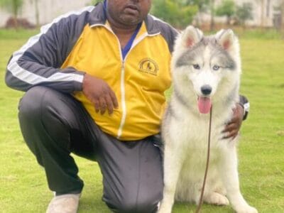 ObedienceMaster - Dog Training Institute