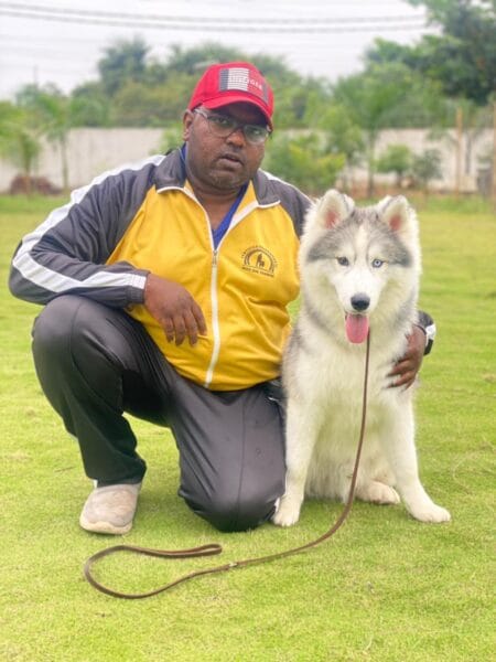 ObedienceMaster - Dog Training Institute