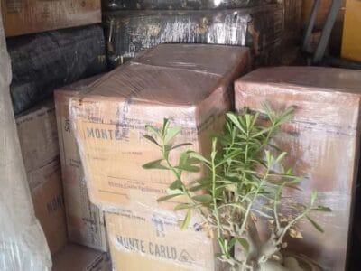 Prestige Packers and Movers