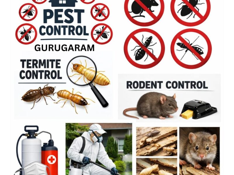 24x7 Pest Control